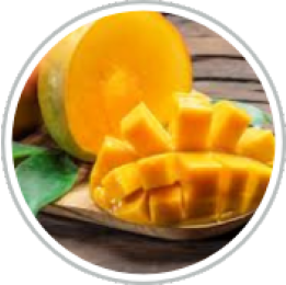 Bitter Melon Extract